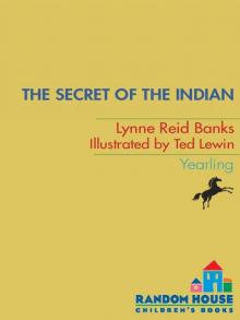 The Secret of the Indian (The Indian in the Cupboard)