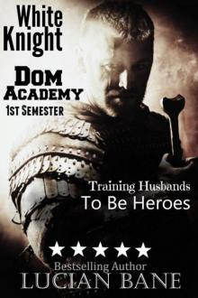 White Knight Dom Academy: 1st Semester