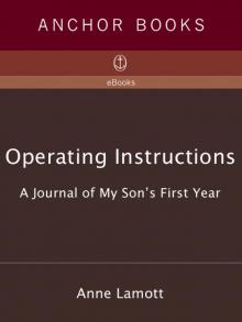 Operating Instructions: A Journal of My Son's First Year