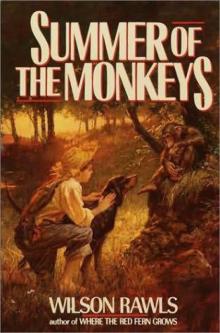 Summer of the Monkeys