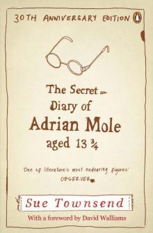 The Secret Diary of Adrian Mole, Aged 13 3/4