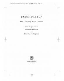 Under the Sun: The Letters of Bruce Chatwin