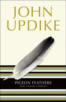 Pigeon Feathers: And Other Stories