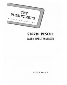 Storm Rescue