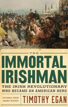 The Immortal Irishman