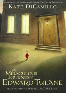 The Miraculous Journey of Edward Tulane