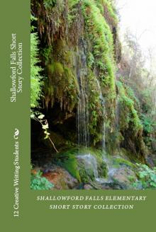 Shallowford Falls Short Story Collection