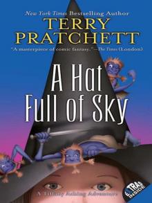 A Hat Full of Sky