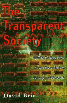 The Transparent Society