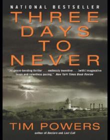 Three Days to Never: A Novel