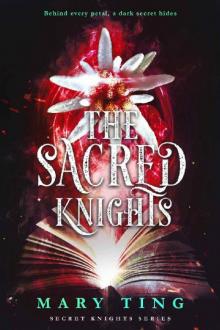 The Sacred Knights