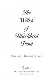 The Witch of Blackbird Pond