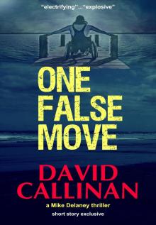 One False Move (a Mike Delaney thriller)