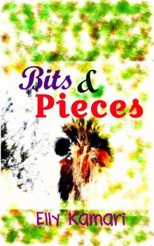 Bits and Pieces