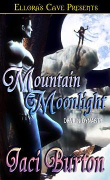 Mountain Moonlight