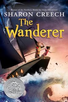 The Wanderer