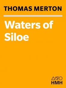 The Waters of Siloe