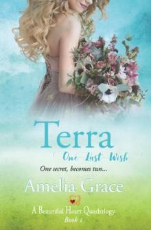 Terra ~ One Last Wish