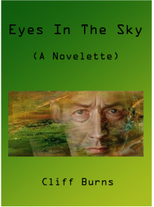 Eyes in the Sky