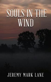 Souls In The Wind