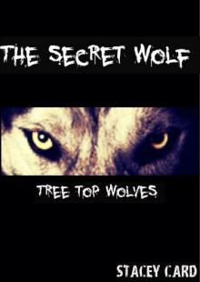 The Secret Wolf (Book One in the Tree Top Wolves Series)