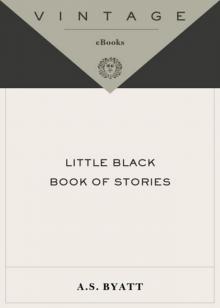 Little Black Book of Stories