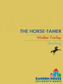 The Horse Tamer