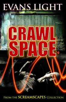 Crawlspace