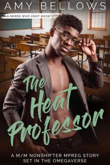 The Heat Professor (Nerds Who Knot Book 4)