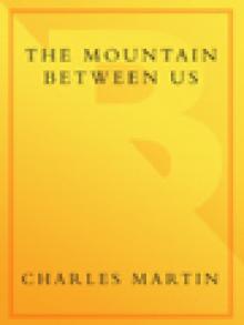 The Mountain Between Us