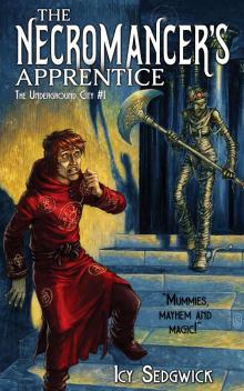 The Necromancer's Apprentice