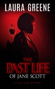 The Past Life of Jane Scott (A Wild Cove Mystery Book 4)