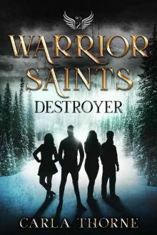 Warrior Saints - Destroyer