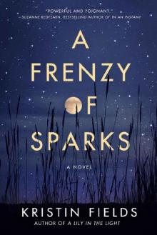 A Frenzy of Sparks: A Novel