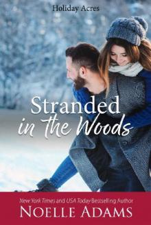 Stranded in the Woods (Holiday Acres Book 3)