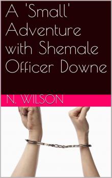 A Small Adventure With Shemale Officer Downe