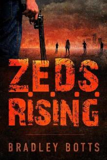 Z.E.D.S. Series (Book 1): Z.E.D.S. Rising