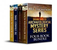 Brian Sadler Archaeological Mysteries BoxSet