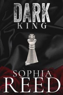 Dark King: A Mafia Romance