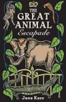 Great Animal Escapade