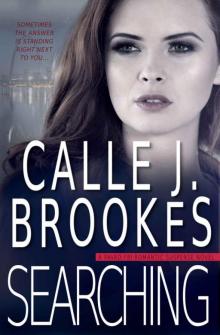 Searching (PAVAD- FBI Romantic Suspense Book 18)