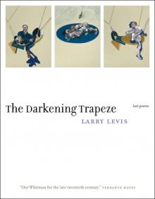 The Darkening Trapeze