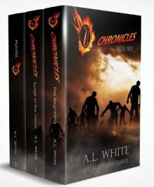 Z Chronicles Box Set [Books 1-3]