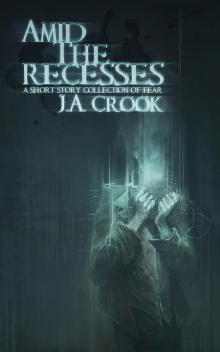 Amid the Recesses: A Short Story Collection of Fear