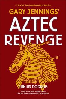 Aztec Revenge