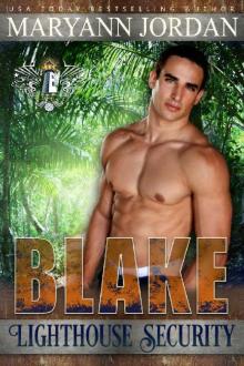 Blake (Lighthouse Security Investigations Book 5)