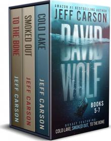 David Wolf series Box Set 2