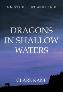 Dragons in Shallow Waters