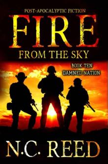 Fire From The Sky | Book 10 | Damned Nation