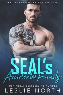 SEAL’s Accidental Family: SEAL & Veteran Series: Book Two